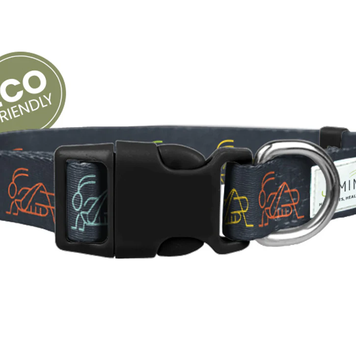 The Eco Friendly Dog Collar