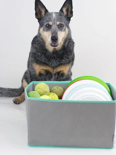 Dog Toy Baskets to Keep Your Home "Spot"-less