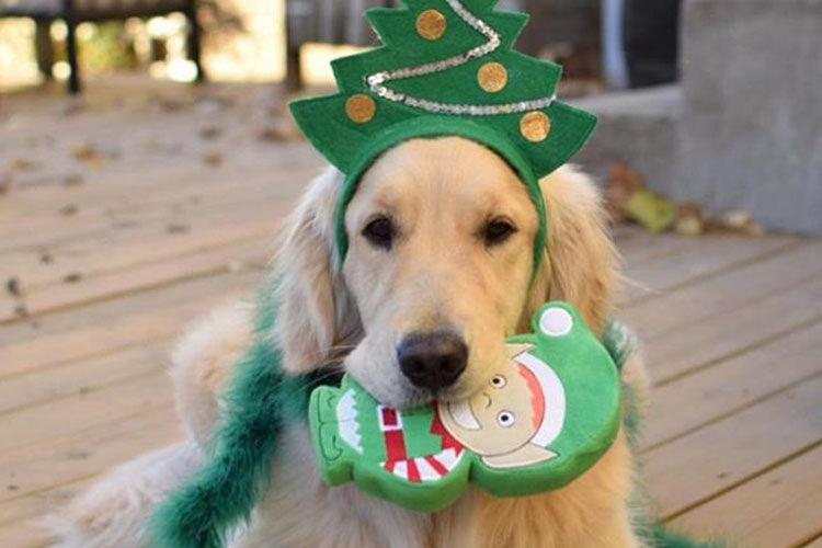 When Should You Order Holiday Gifts?