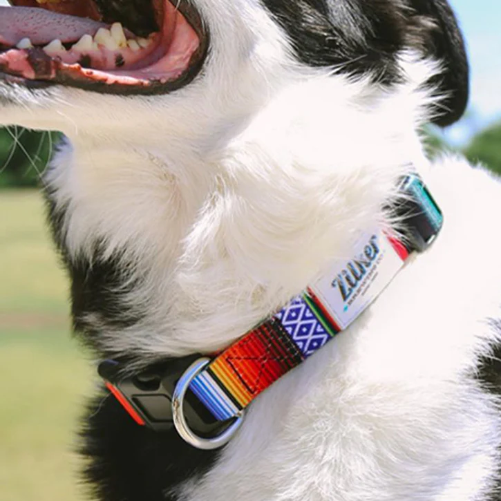 The Customizable Nylon Dog Collars