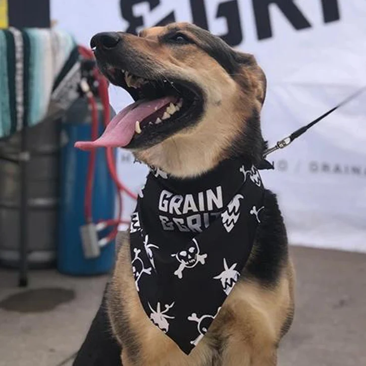 The Eco Friendly Dog Bandanas