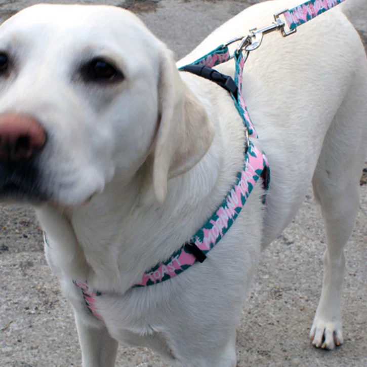 Step In Dog Harnesses For Safer Walks