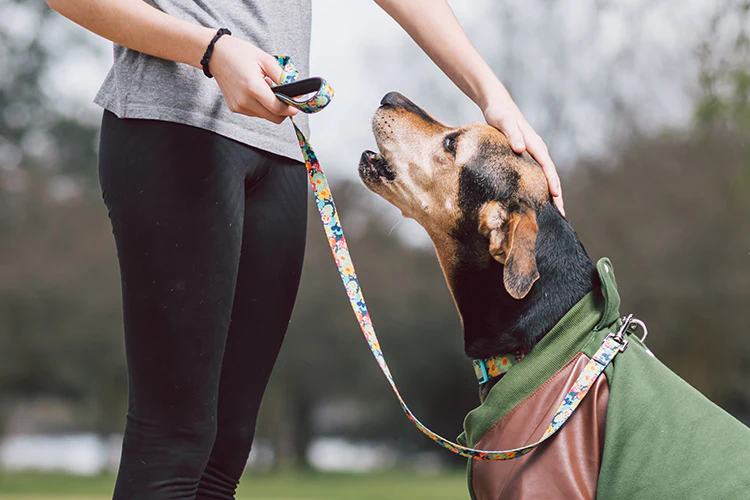 How To Market Your Business To The Pet Community