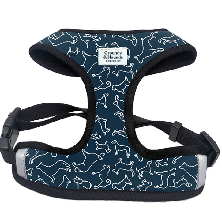 Chest Dog Harnesses For Speed and Comfort on Walks