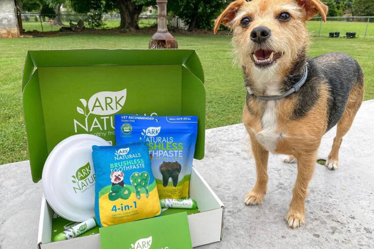 5 Best Practices for Marketing Your Pet Food Brand