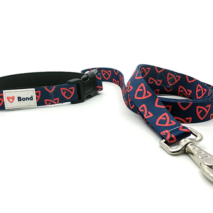 Born To Run: Customizable Dog Running Leashes