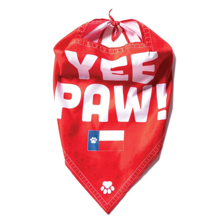 The K9 Kerchief: Customizable Branded Dog Bandanas