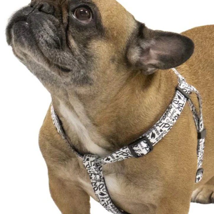 Step In Dog Harnesses For Safer Walks