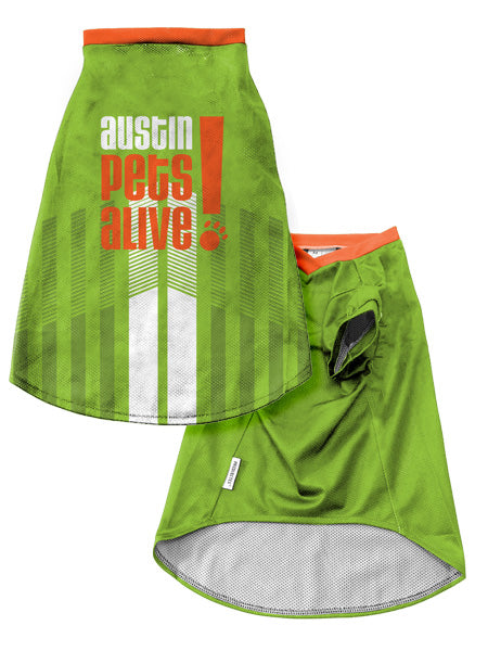 Dog Jerseys for the Sporty K9