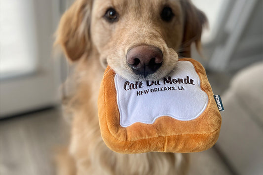 How to Choose Safe Dog Toys for Your Pup to Play With