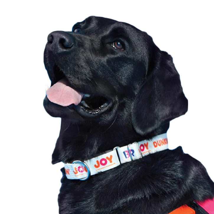 Martingale Collars: The Limited-Slip Dog Collars
