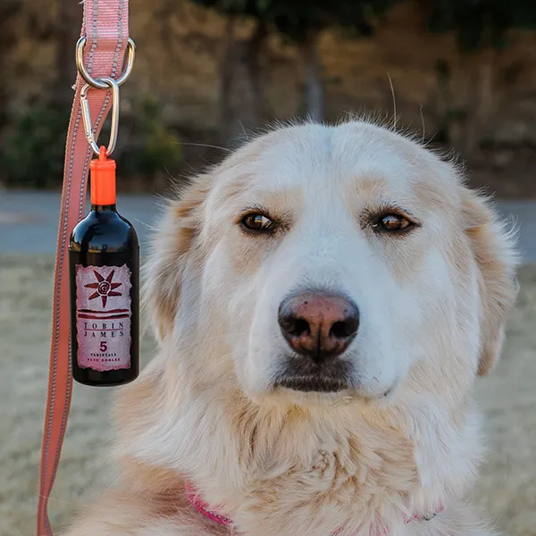 Winery-Themed Poop Bag Holder