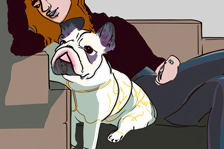 6 Tips for Getting Your Home Ready for a Pet Sitter