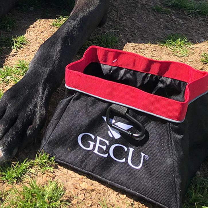 Collapsible Dog Bowls for On The Go H20