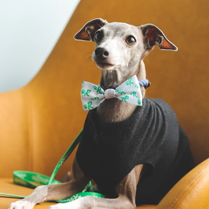 Dapper Dogware: Branded Dog Ties