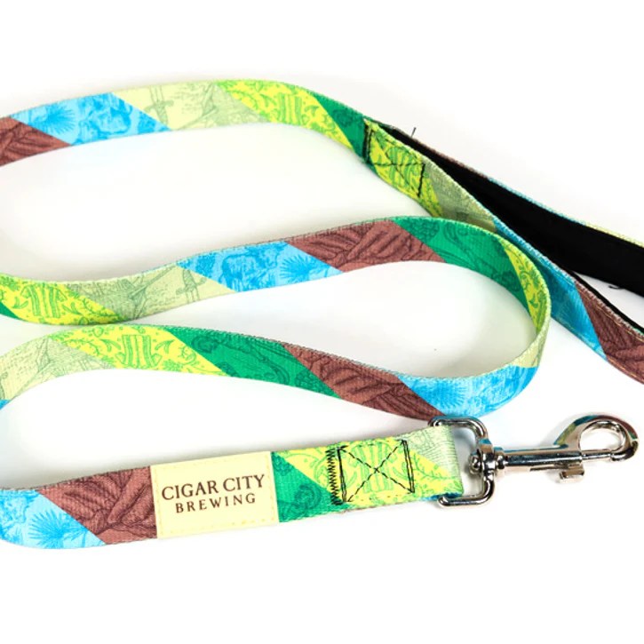 colorful dog leash