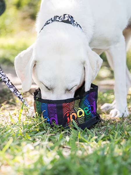 Zippered Foldable Travel Dog Bowls