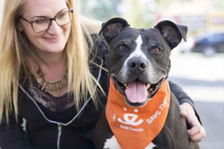 What To Consider When Adopting A Shelter Dog