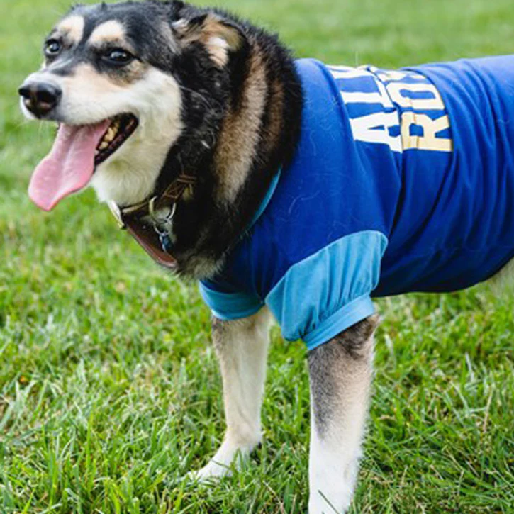 Customizable Dog T-Shirts: Your Pup To A "Tee"