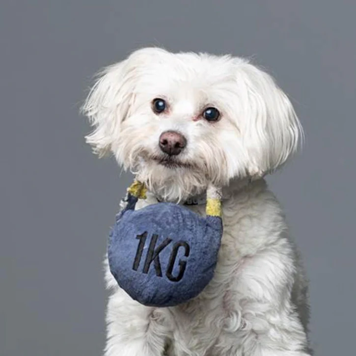 Customizable Plush Dog Toys