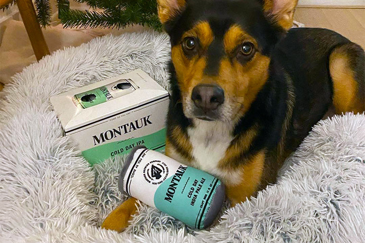 Former Stray Chosen As Professional Dog Beer Taste Tester