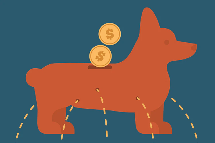 Pet Parents Love To Spend On Their Pets