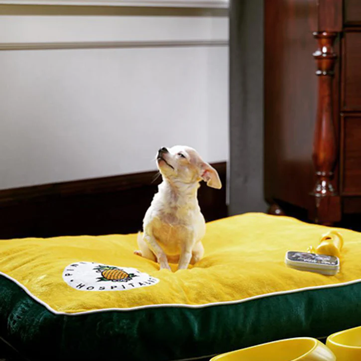 Customizable Dog Beds: Sit. Stay. Snooze.