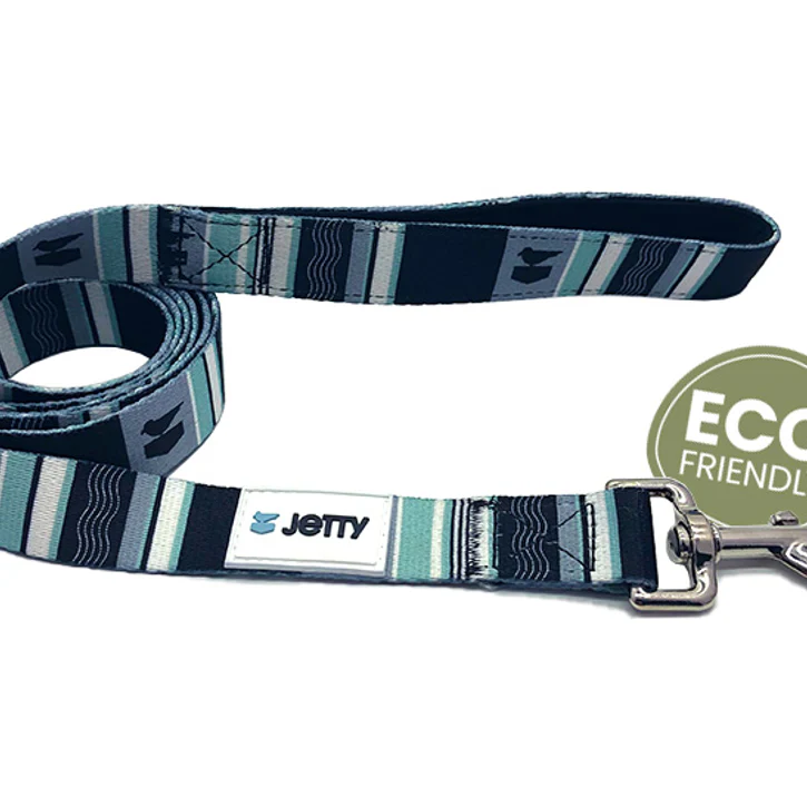 The Eco Friendly Dog Leash