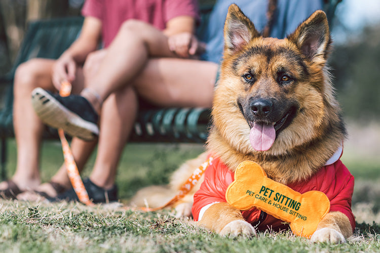 How Pet Sitters Can Make Their Business Memorable