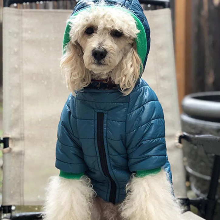 Bark in the Parka: Customizable Dog Winter Coats
