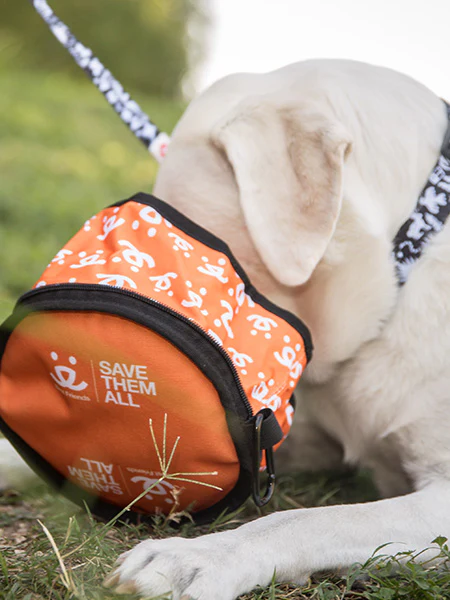 The Eco Friendly Foldable Travel Dog Bowls