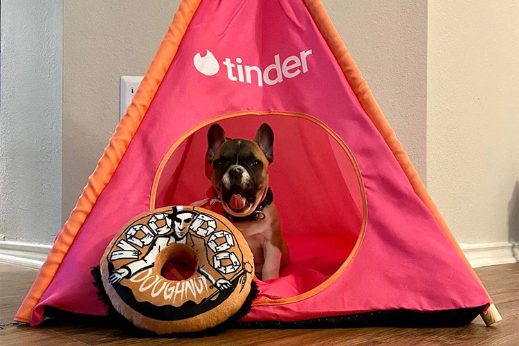 Only Pups Allowed: Creating a Safe Space for Your Dog